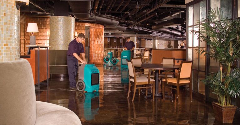 local water damage company Grand Rapids, MI